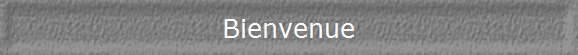 Bienvenue